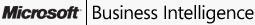 Microsoft Business Intelligence
